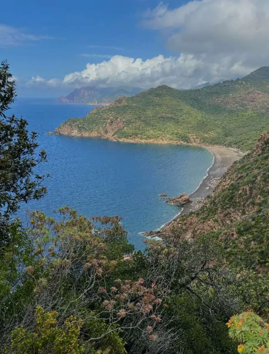 Vue panoramique d'une baie
